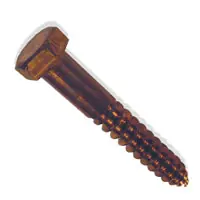 [1 PC] Lag Screws Hex Silicon Bronze 5/16 X 5 Express Delivery
