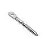 Certified [100 PKG] Lag Screws Acoustical Eye 1/4 X 3