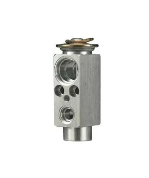 MEI Expansion Valve with Hose Size No. 6 Inlet/No.12 Outlet for Volvo Trucks - 1622 Secure Checkout